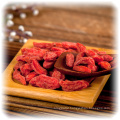 Healthcare Food Red Goji